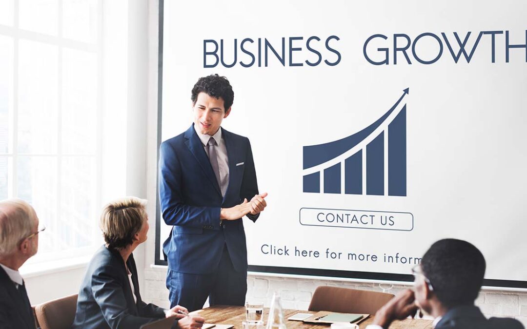 business growth consultants